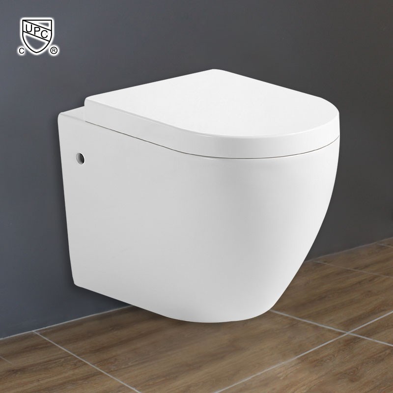 Wall Hung Toilet Bowl - White (DK-ZBQ-11009C)