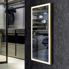 DECORAPORT 48 x 20 Inch LED Full-Length Mirror/Dressing Mirror with Touch Button, Light Luxury Gold, Dimmable, Floor Standing  & Wall Mounted (D1805-4820)