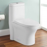 Dual Flush Siphonic One-piece Toilet (DK-ZBQ-12207)