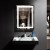 DECORAPORT 24 x 32 In LED Bathroom Mirror with Touch Button, Dimmable, Vertical & Horizontal Mount (CK160-2432)